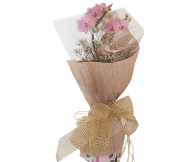 Orquídea duas astes lilás