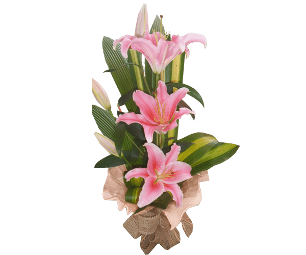 Flores para presente