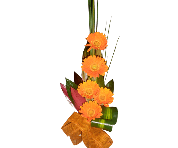 Flores para presente