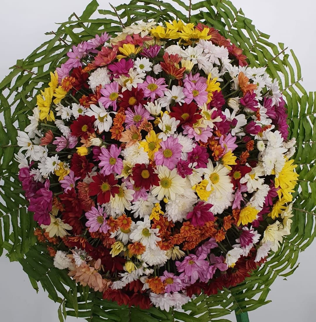 Flores para presente