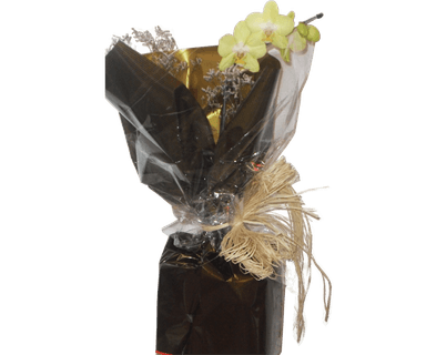 Orquídea uma aste amarela