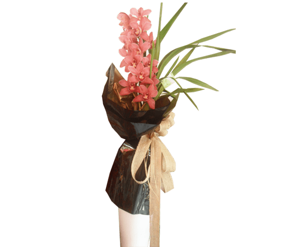 Flores para presente