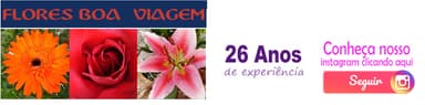 Flores Boa Viagem